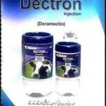 Dectron