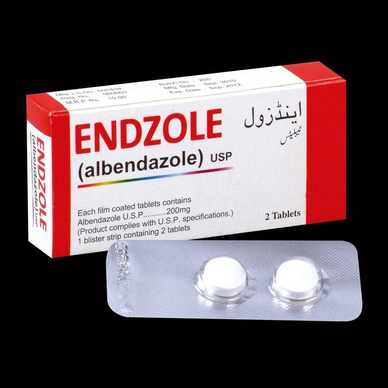 Endzole Endzole