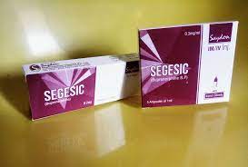 Segesic