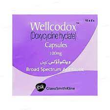 Wellcodox 100 mg