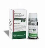 Augmentin DS 312.50mg - Image 2